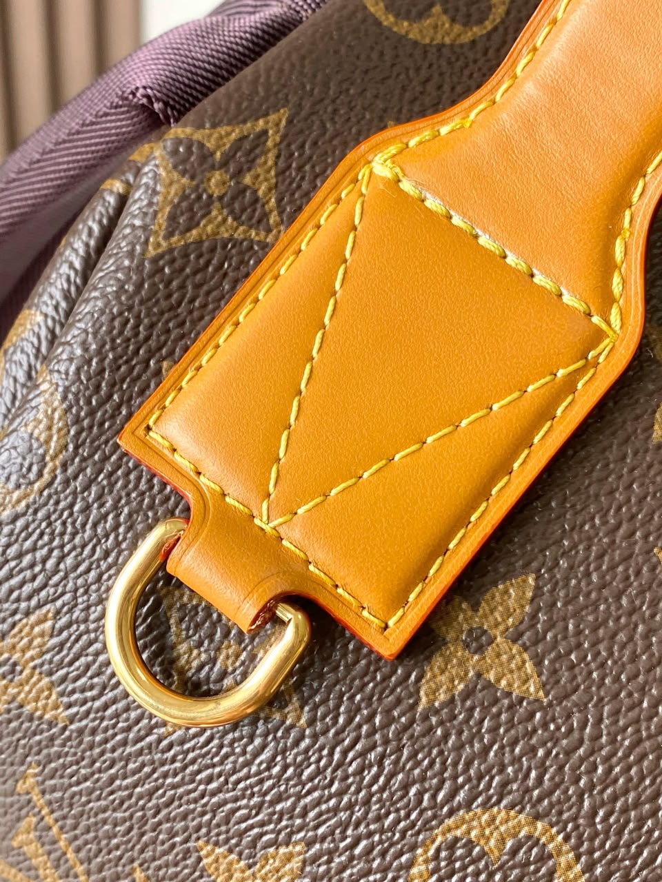 LV Hiking Backpack