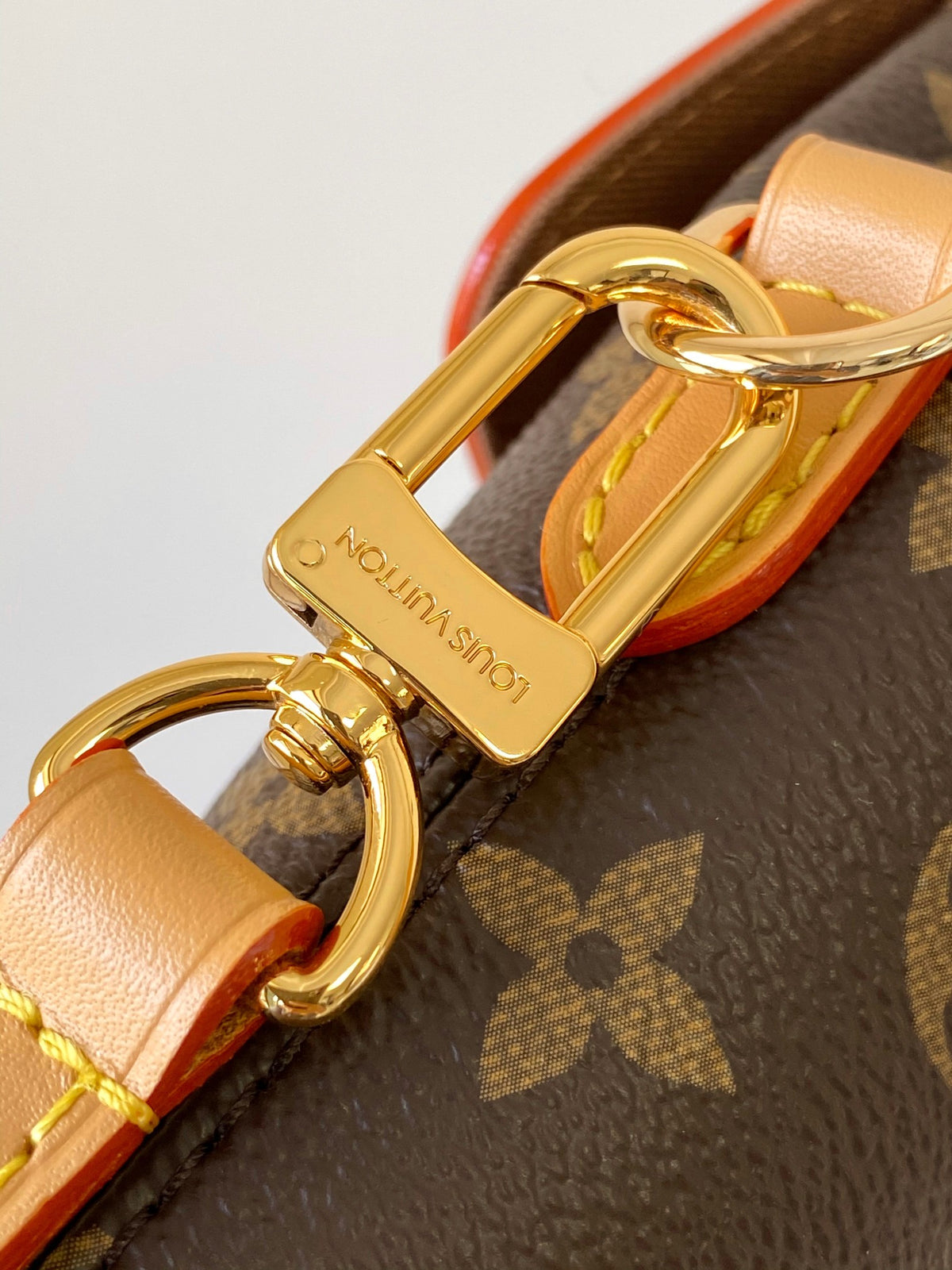 LV Soho Mini Backpack