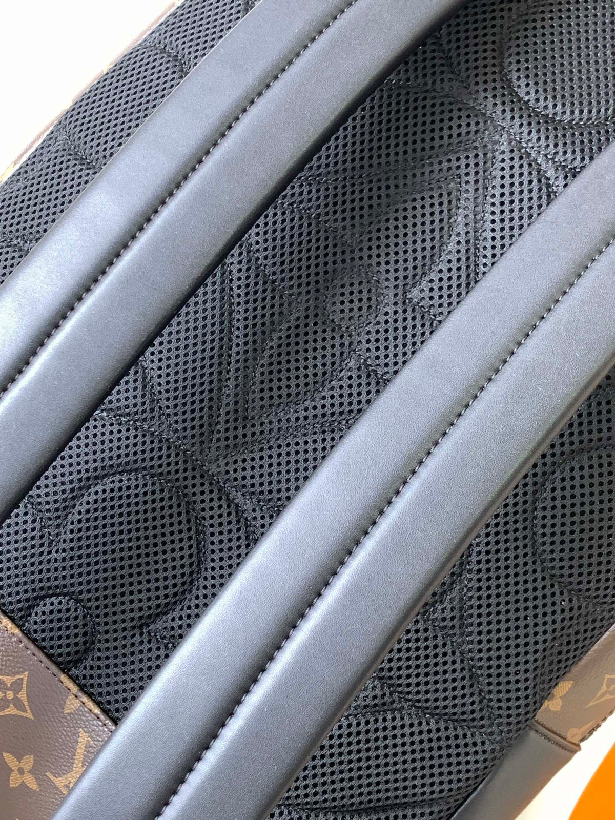 LV Backpack