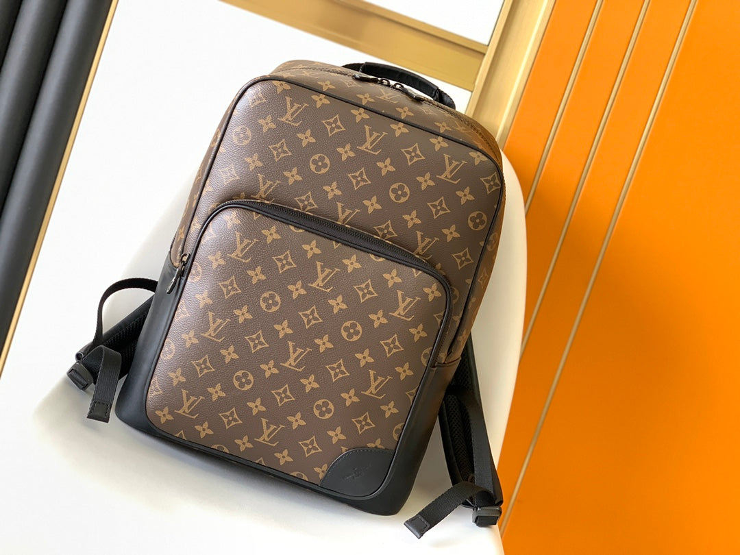 LV Backpack