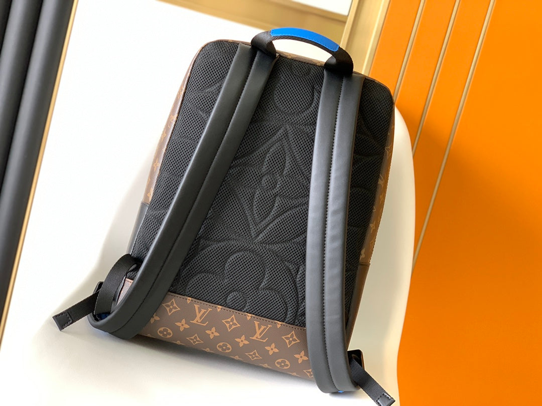 LV Backpack