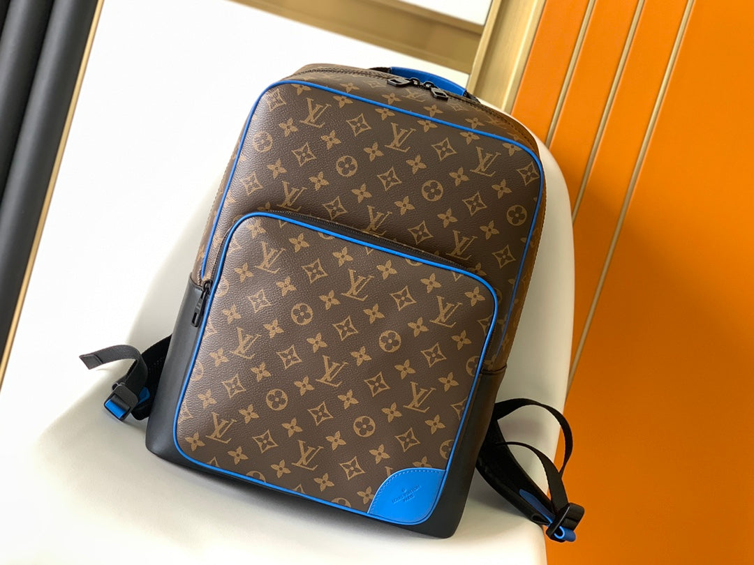 LV Backpack