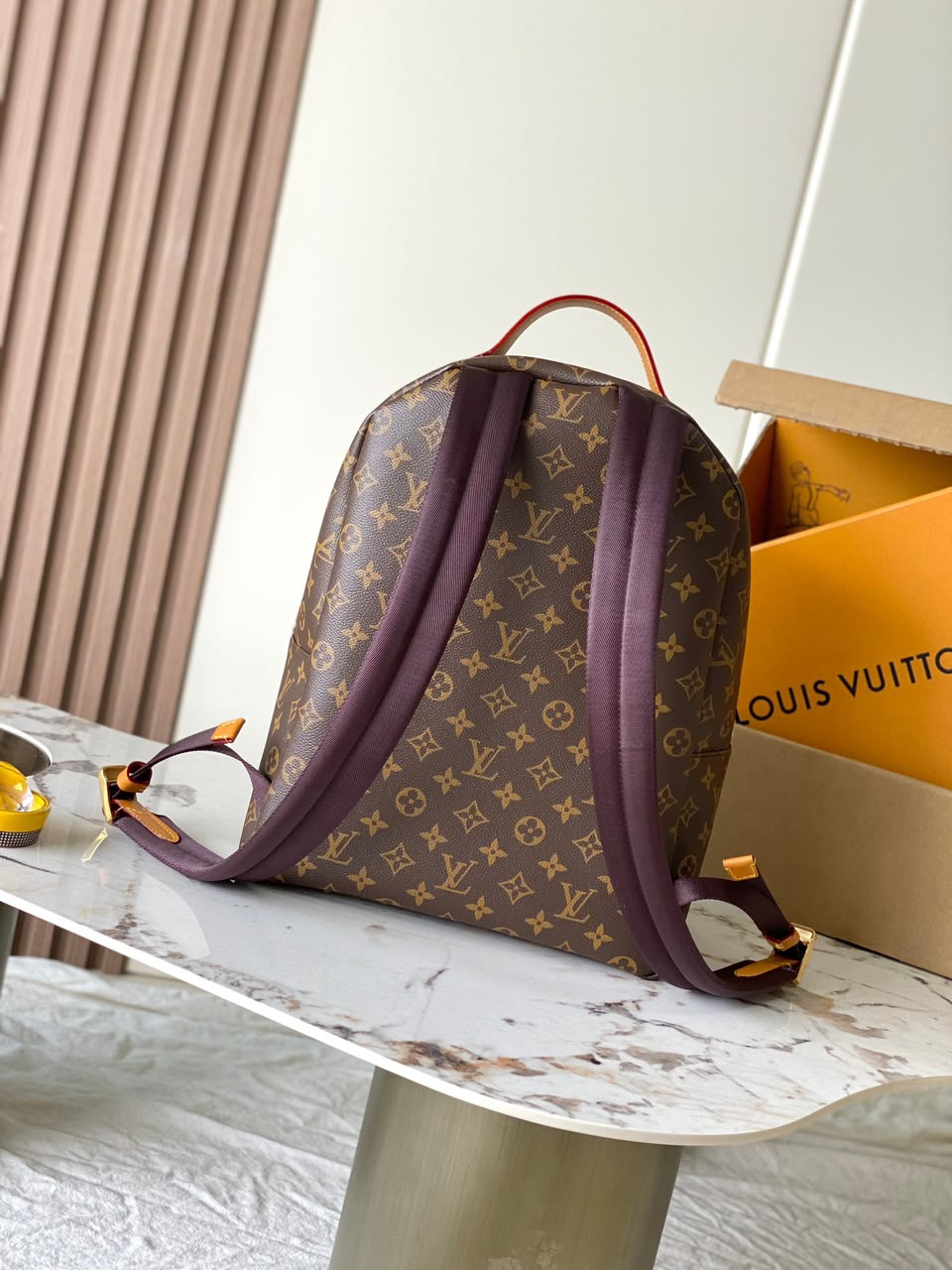 LV Hiking Backpack