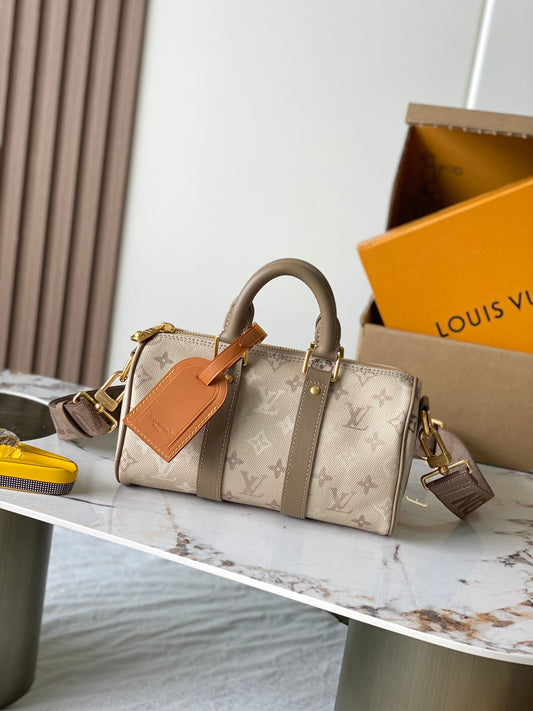 LV Speedy 25 Handbag