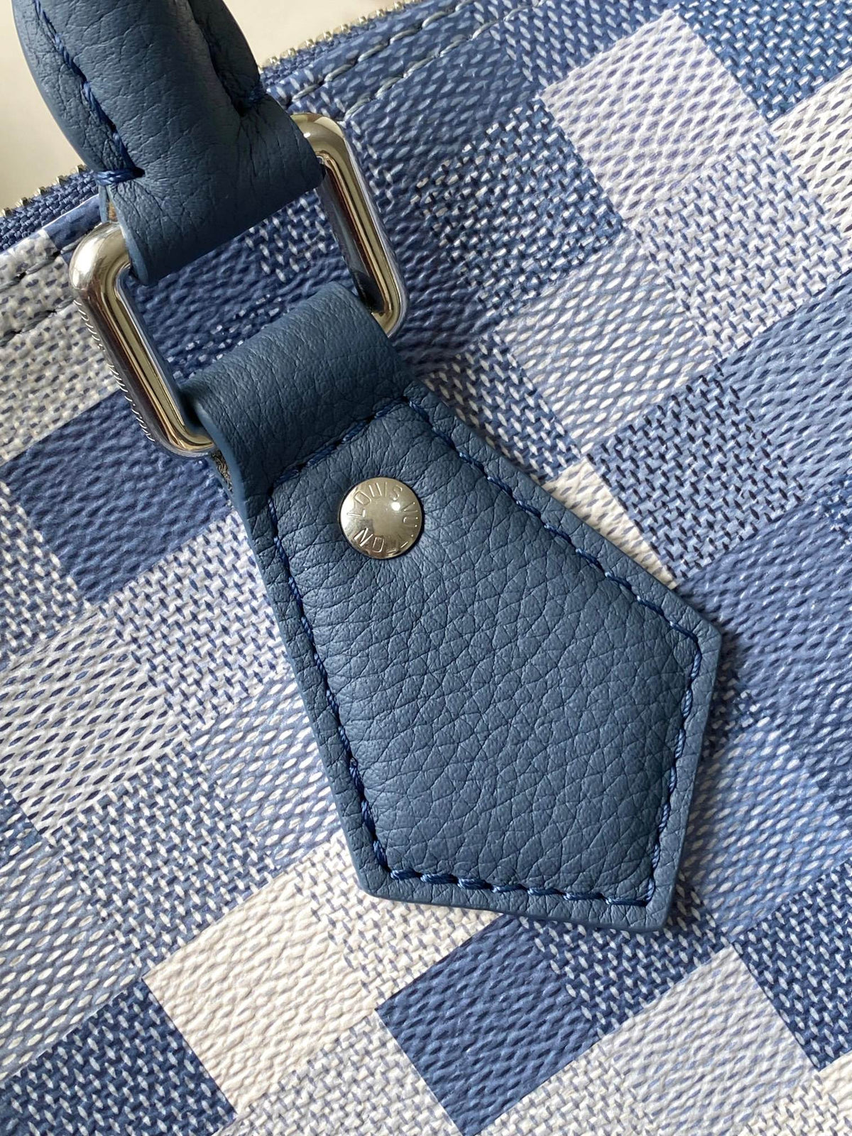 LV Speedy 30 Tote Bag