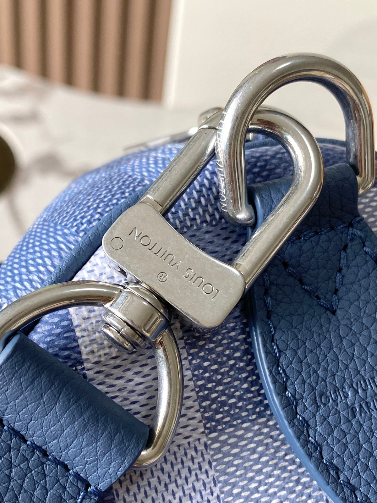 LV Speedy 30 Tote Bag