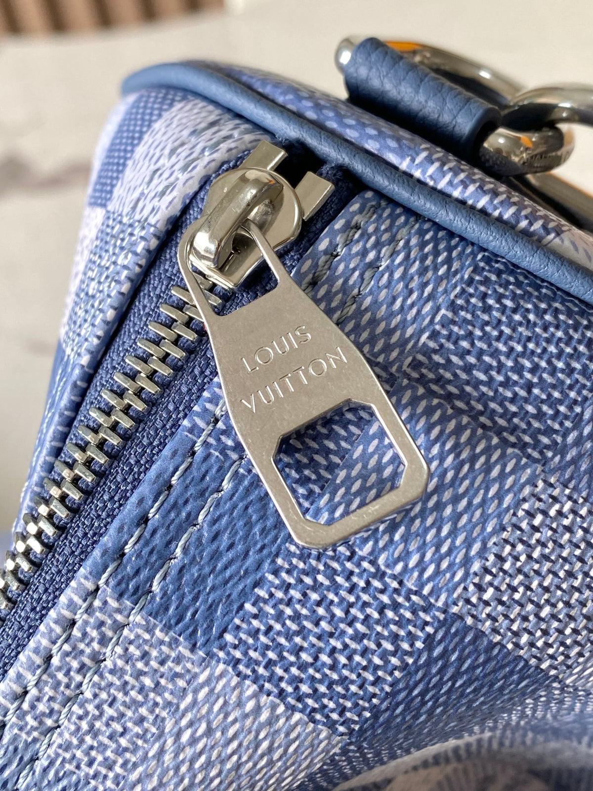 LV Speedy 30 Tote Bag