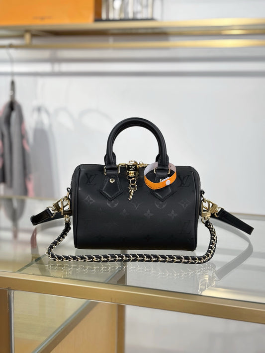 LV Speedy 20 Handbag