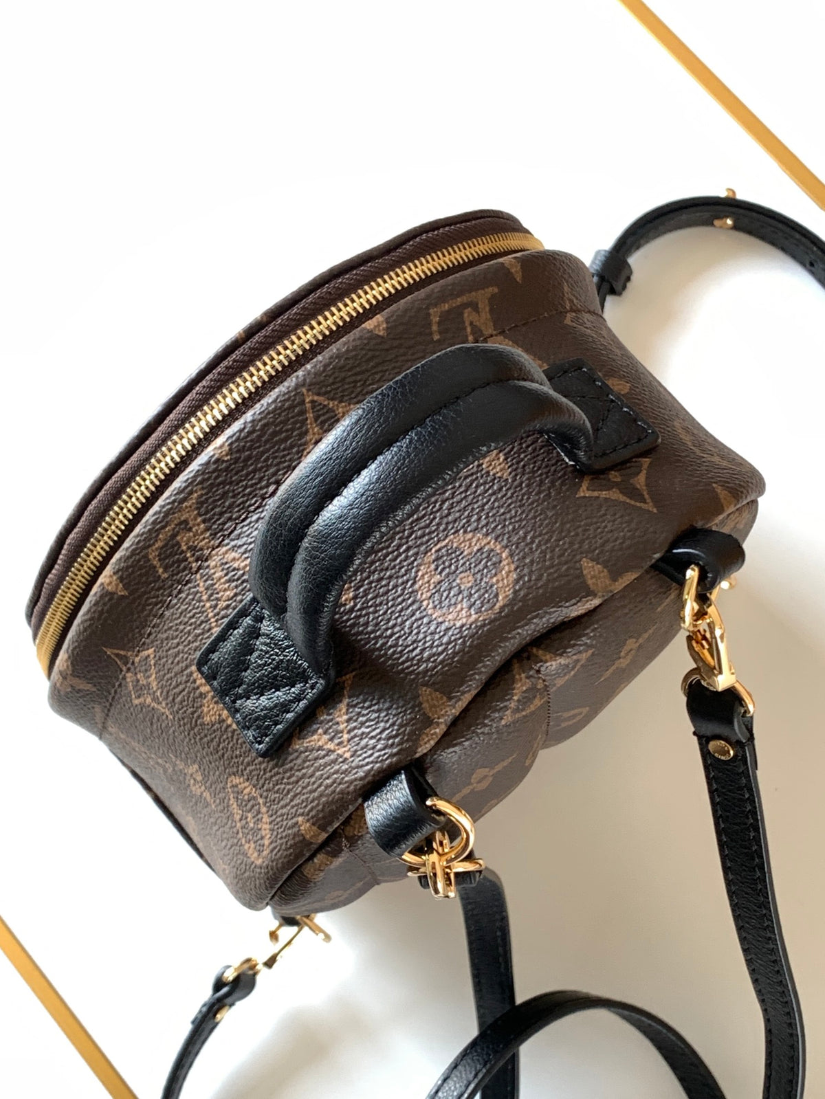 LV Palm Springs Mini Backpack