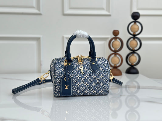 LV Speedy 20 Denim Pillow Bag