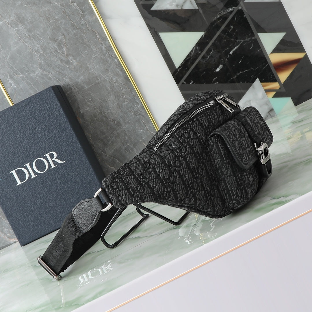Dior belt Bag