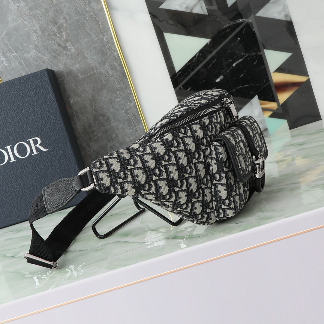 Dior belt Bag