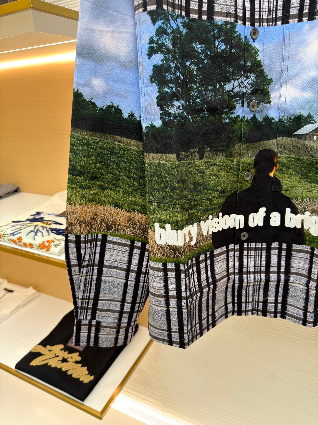 1V Plaid print shirt (from a movie still)